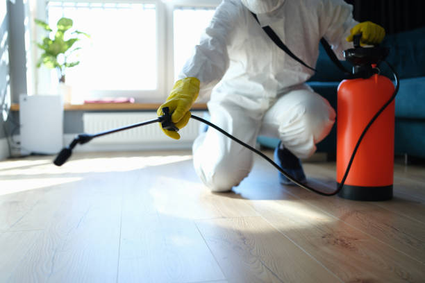 Reliable Odor Removal contractor in Simonton, TX by Trauma Clean Pros